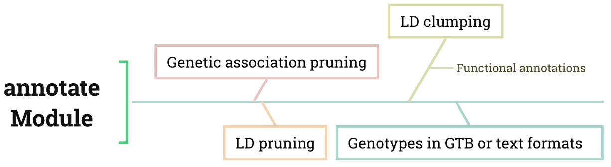pruning